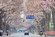 四平共建“花园城市” 北京这场议政会“百花齐放”