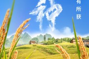 四平芒种节气小知识来了 夏种作物都有什么？