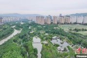 四平西宁市举办六五环境日主题宣传活动